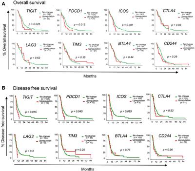 TIGIT and PD-1 Immune Checkpoint Pathways Are Associated With Patient Outcome and Anti-Tumor Immunity in Glioblastoma